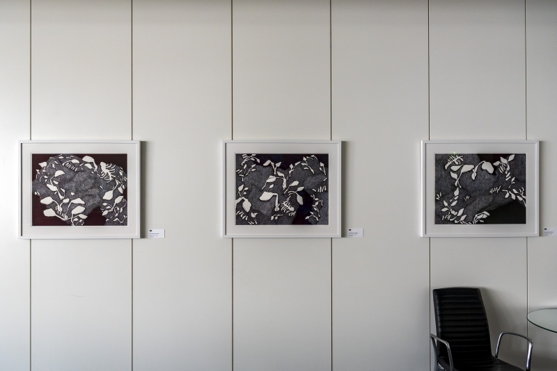 Anna Maria Brandstätter