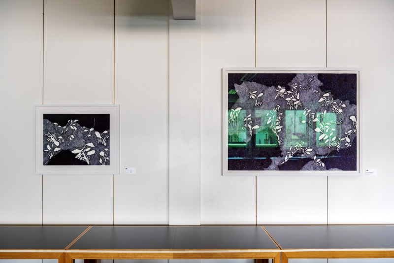 Anna Maria Brandstätter