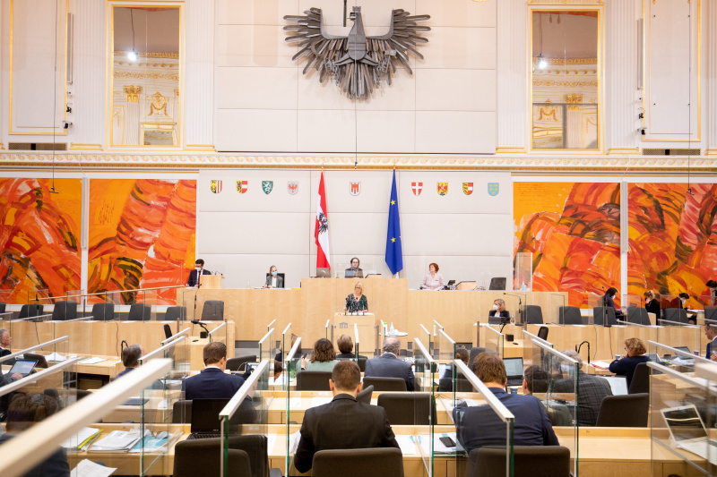 Bundesrätin Isabella Kaltenegger (ÖVP) am Rednerpult