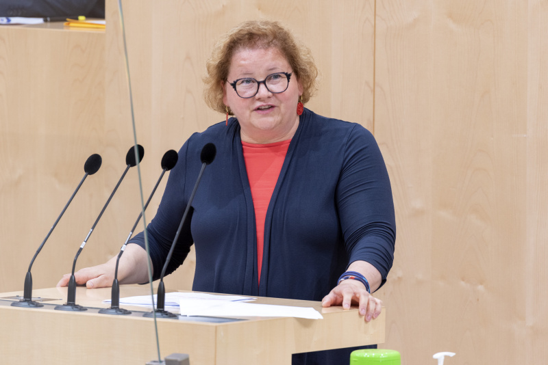 Am Rednerpult Bundesrätin Korinna Schumann (SPÖ) bei der Begründung der Anfrage an den Sozialminister