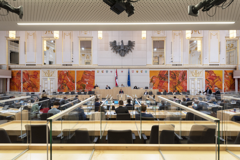 Bundesrätin Korinna Schumann (SPÖ) bei der Begründung der Anfrage an den Sozialminister. Blick Richtung Sitzungsteilnehmer:innen
