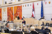 Am Rednerpult Bundesrätin Korinna Schumann (SPÖ) bei der Begründung der Anfrage an den Sozialminister