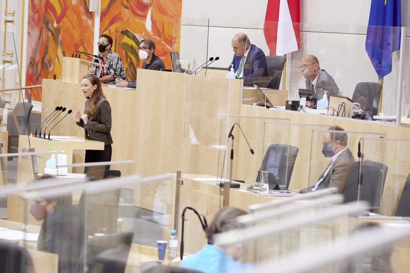 Am Rednerpult Nationalratsabgeordnete Susanne Fürst (FPÖ)