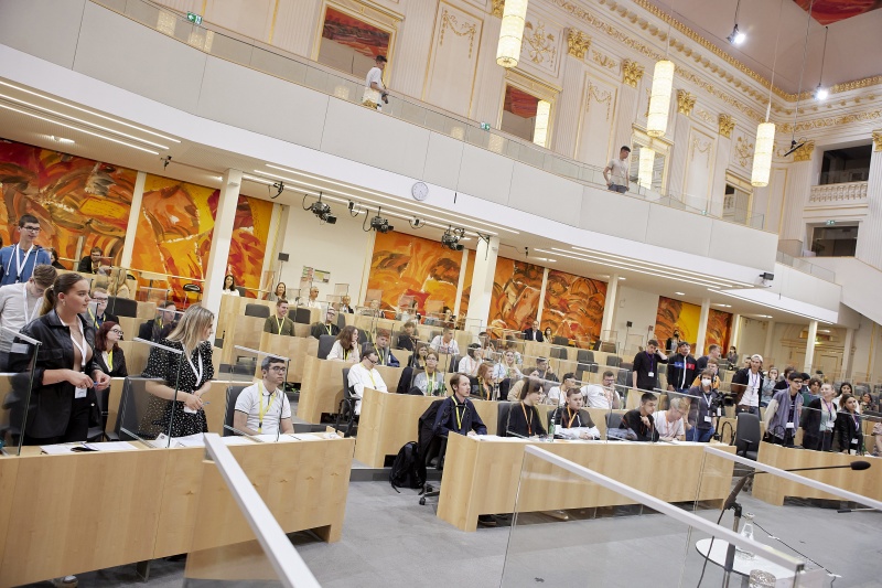 Teilnehmer:innen bei der Abstimmung im Plenum