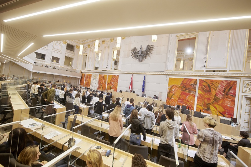 Teilnehmer:innen bei der Abstimmung im Plenum