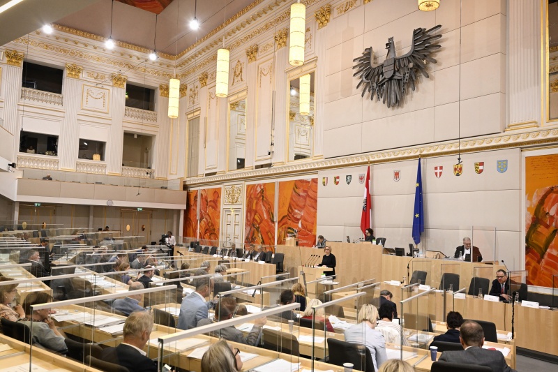 Am Rednerpult: Rektorin der Universität für künstlerische und industrielle Gestaltung Linz Brigitte Hütter zum Thema ‚Bedeutung von Wissenschaft und Forschung für regionale Entwicklung‘