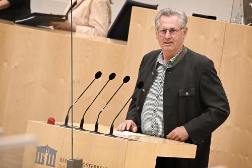 Bundesrat Martin Preineder (ÖVP) am Rednerpult