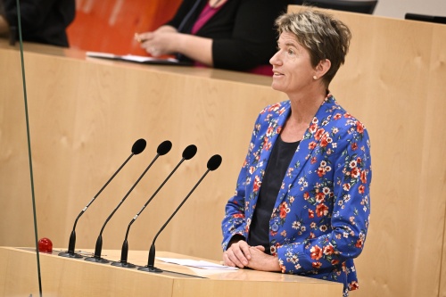 Nationalratsabgeordnete Martina Diesner-Wais (ÖVP) am Rednerpult