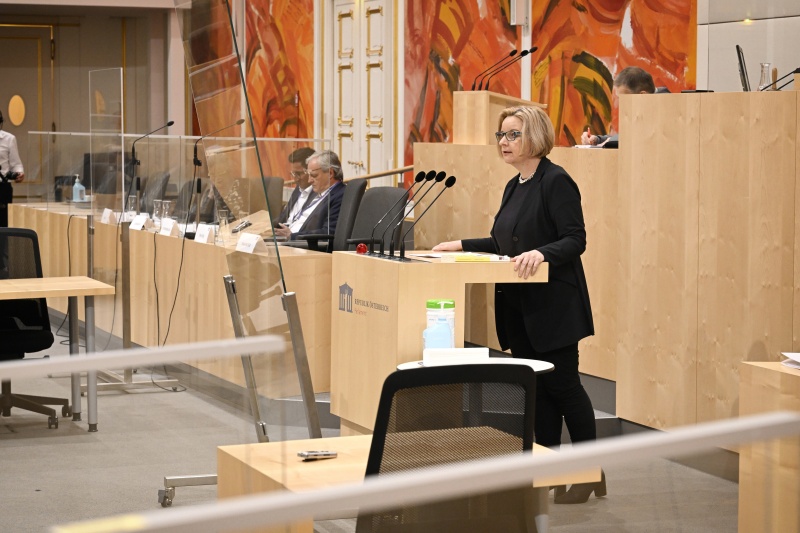 Am Rednerpult: Rektorin der Universität für künstlerische und industrielle Gestaltung Linz Brigitte Hütter zum Thema ‚Bedeutung von Wissenschaft und Forschung für regionale Entwicklung‘