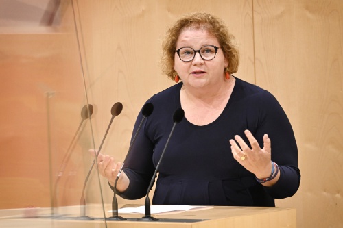 Bundesrätin Korinna Schumann (SPÖ) am Rednerpult