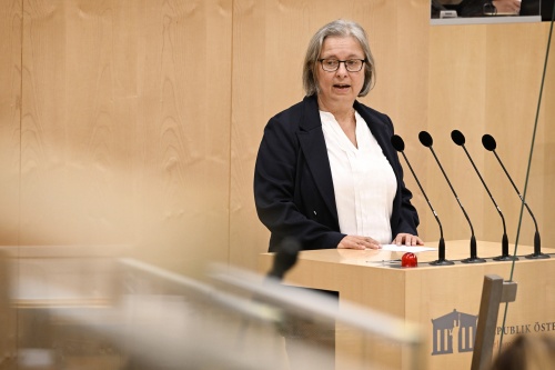 Bundesrätin Bettina Lancaster (SPÖ) am Rednerpult