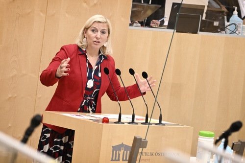 Bundesrätin Doris Hahn (SPÖ) am Rednerpult