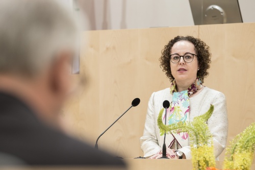 Am Rednerpult: Bundesratspräsidentin Christine Schwarz-Fuchs (ÖVP)
