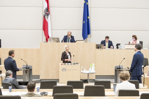 Am Rednerpult: Verteidigungsministerin Klaudia Tanner (ÖVP) bei der Beantwortung der Fragen