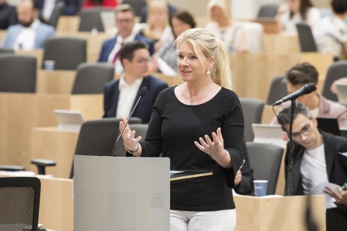 Am Rednerpult: Nationalratsabgeordnete Irene Neumann-Hartberger (ÖVP)