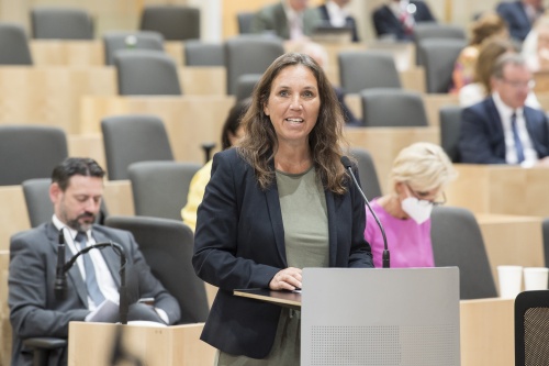 Am Rednerpult: Nationalratsabgeordnete Ulrike Fischer (GRÜNE)