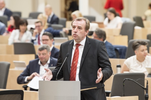 Am Rednerpult: Nationalratsabgeordneter Christian Drobits (SPÖ)
