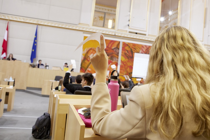 Abstimmung im Plenum