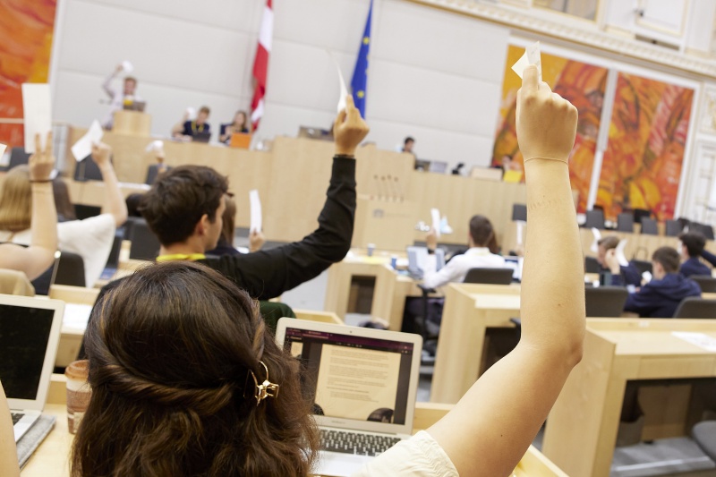 Abstimmung im Plenum