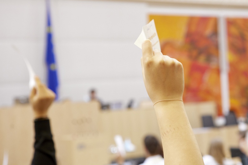 Abstimmung im Plenum