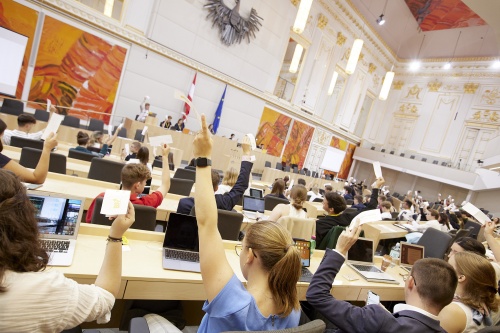 Abstimmung im Plenum