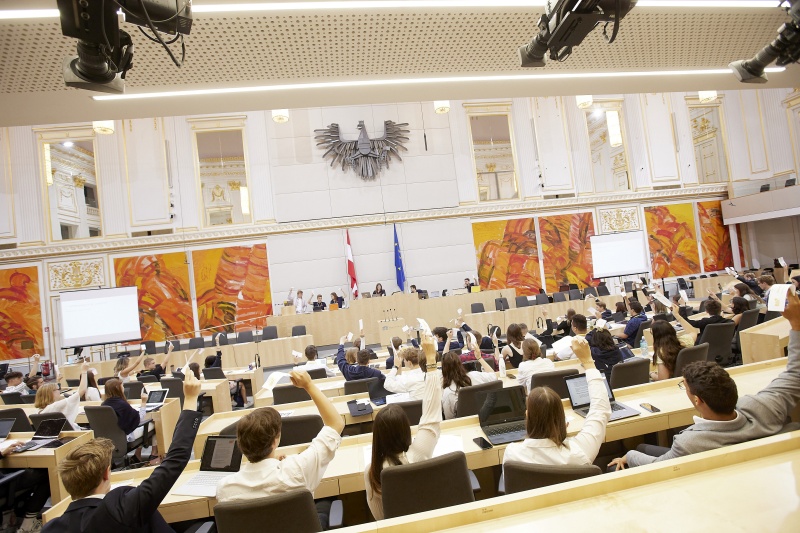 Abstimmung im Plenum