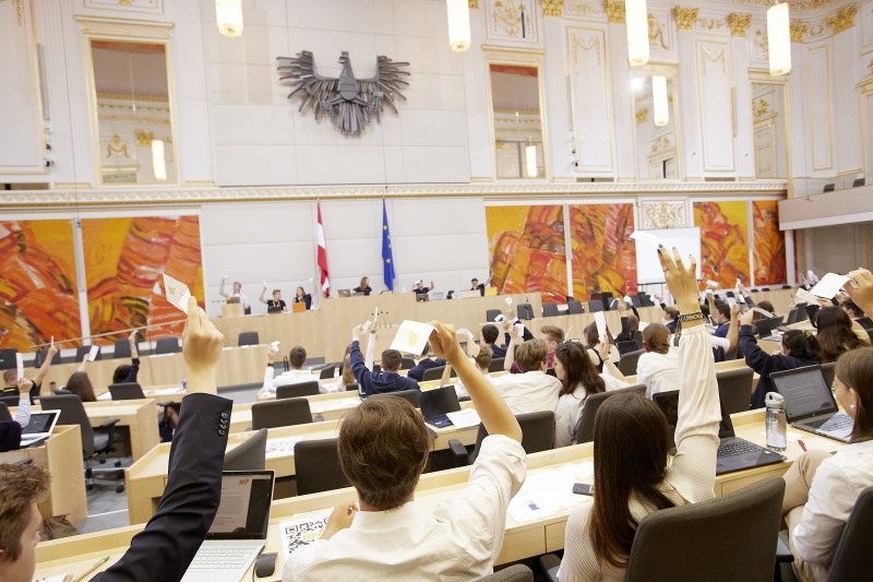 Abstimmung im Plenum