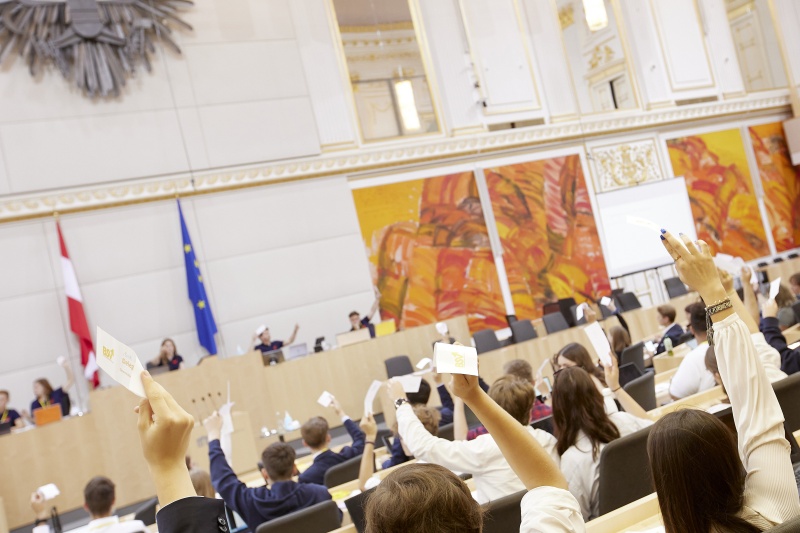 Abstimmung im Plenum