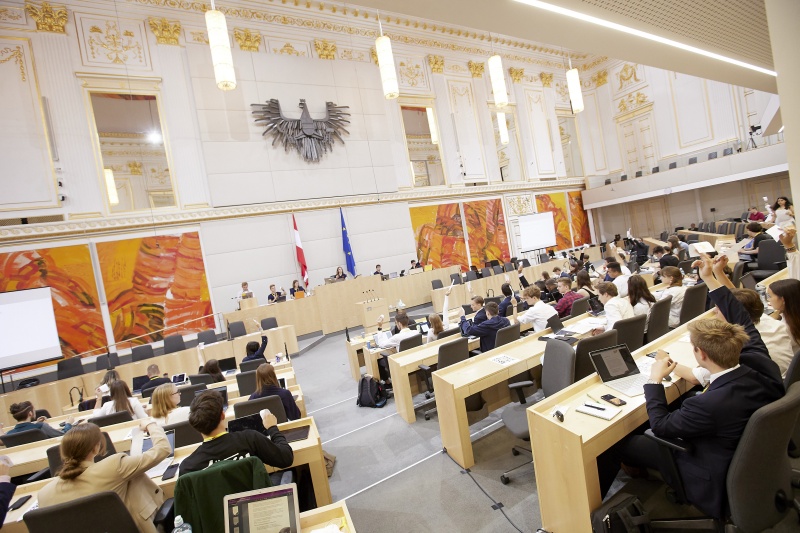 Abstimmung im Plenum