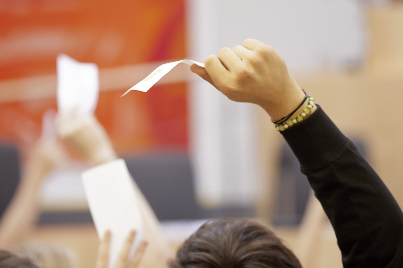 Abstimmung im Plenum