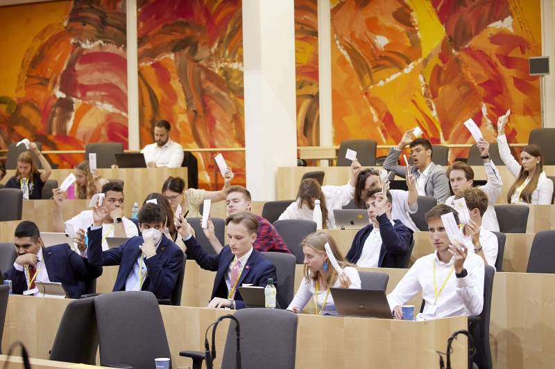 Abstimmung im Plenum