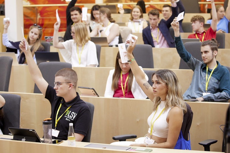 Abstimmung im Plenum