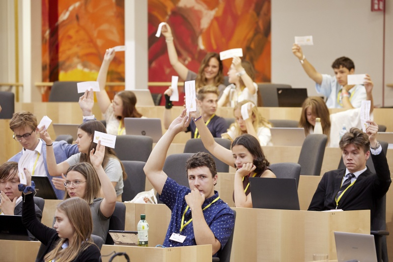 Abstimmung im Plenum