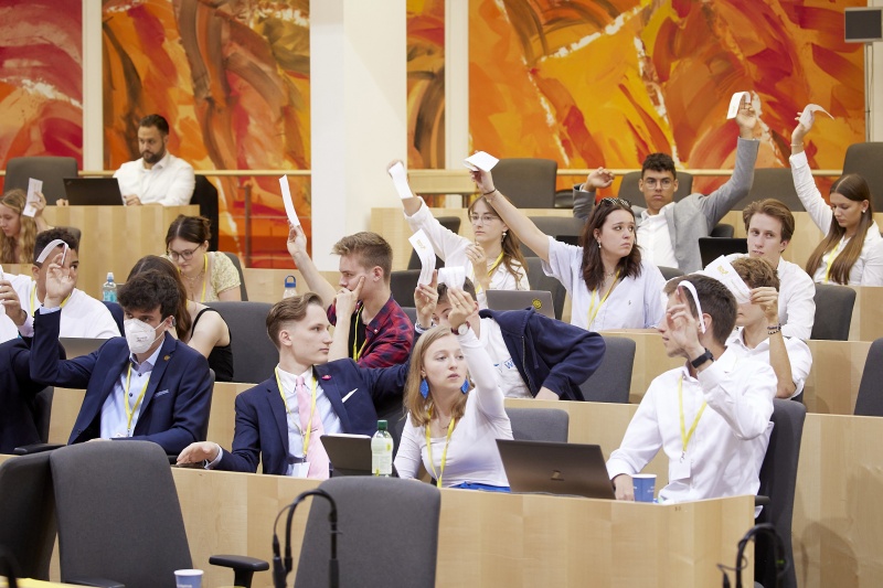 Abstimmung im Plenum