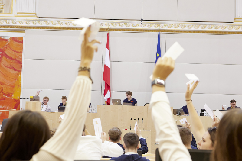 Abstimmung im Plenum