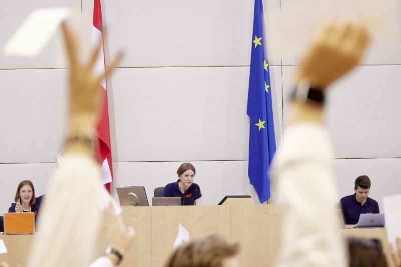 Abstimmung im Plenum