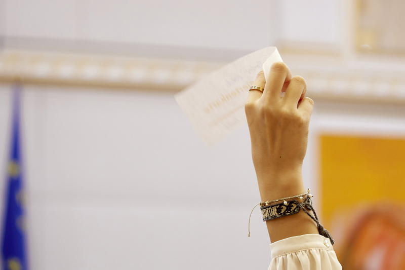 Abstimmung im Plenum