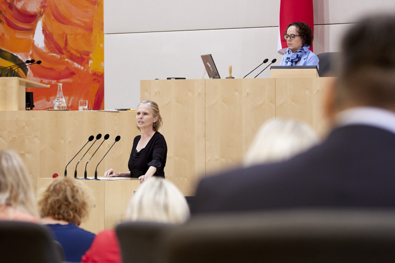 Am Rednerpult Bundesrätin Daniela Gruber-Pruner (SPÖ)