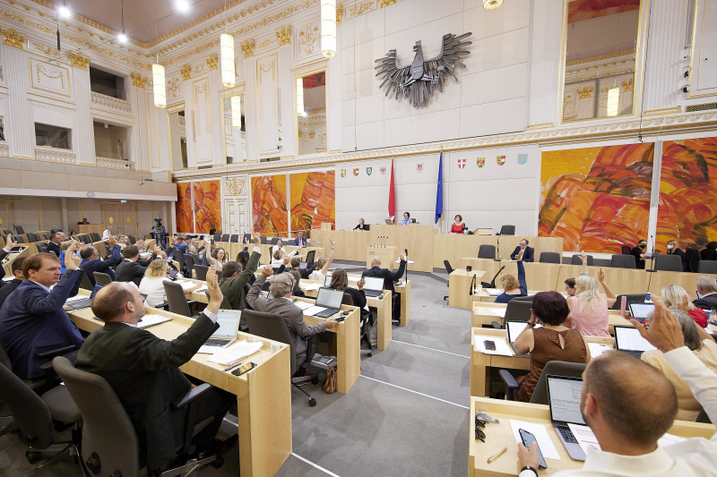Abstimmung im Plenum