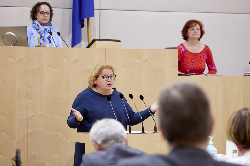 Am Rednerpult Vorsitzende der Bundesratsfraktion Korinna Schumann (SPÖ)