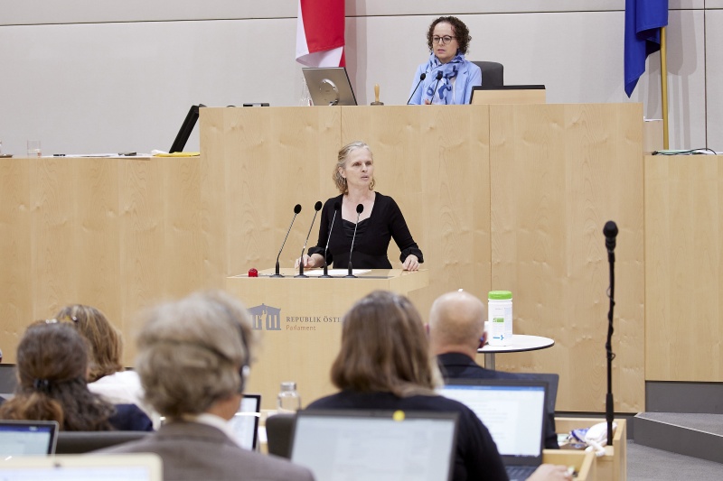 Am Rednerpult Bundesrätin Daniela Gruber-Pruner (SPÖ)