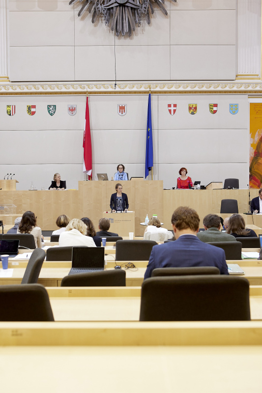 Am Rednerpult Bundesrätin Elisabeth Wolff (ÖVP)