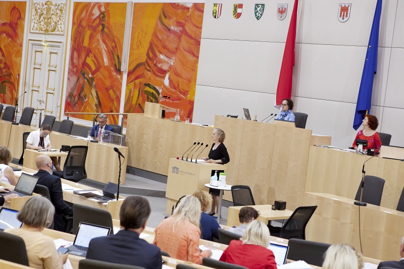Am Rednerpult Bundesrätin Daniela Gruber-Pruner (SPÖ)