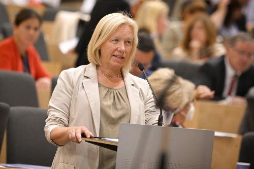 Fragestellerin Nationalratsabgeordnete Verena Nussbaum (SPÖ)