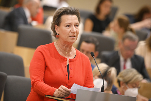 Fragestellerin Nationalratsabgeordnete Gabriele Heinisch-Hosek (SPÖ)