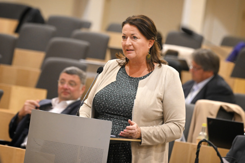 Fragestellerin  Nationalratsabgeordnete Petra Wimmer (SPÖ)