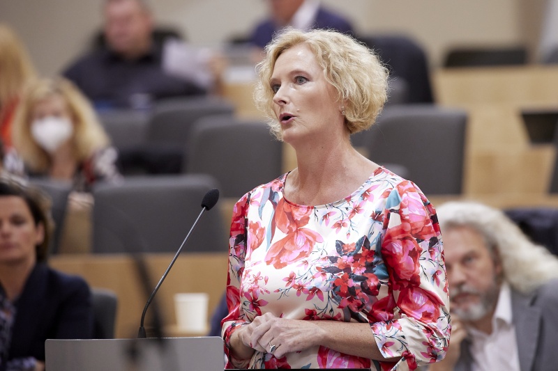 Fragestellerin Nationalratsabgeordnete Karin Greiner (SPÖ)