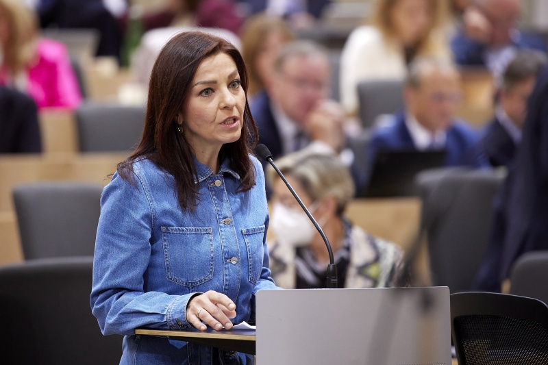 Fragestellerin Nationalratsabgeordnete Ewa Ernst-Dziedzic (GRÜNE)