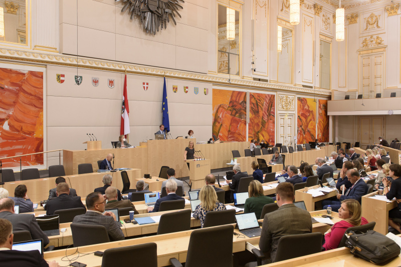 Bundesrätin Maria Huber (Grüne) am Rednerpult
