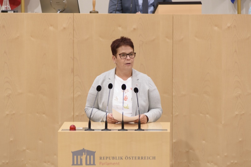 Bundesrätin Nicole Riepl (SPÖ) am Rednerpult